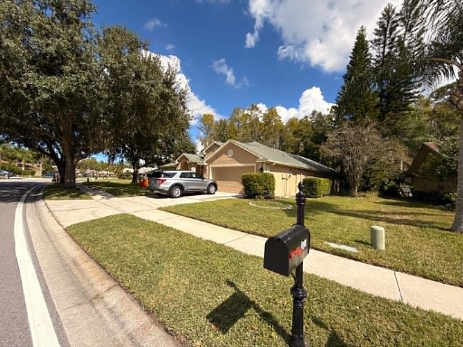 Lawn Maintenance in Spring Hill, FL