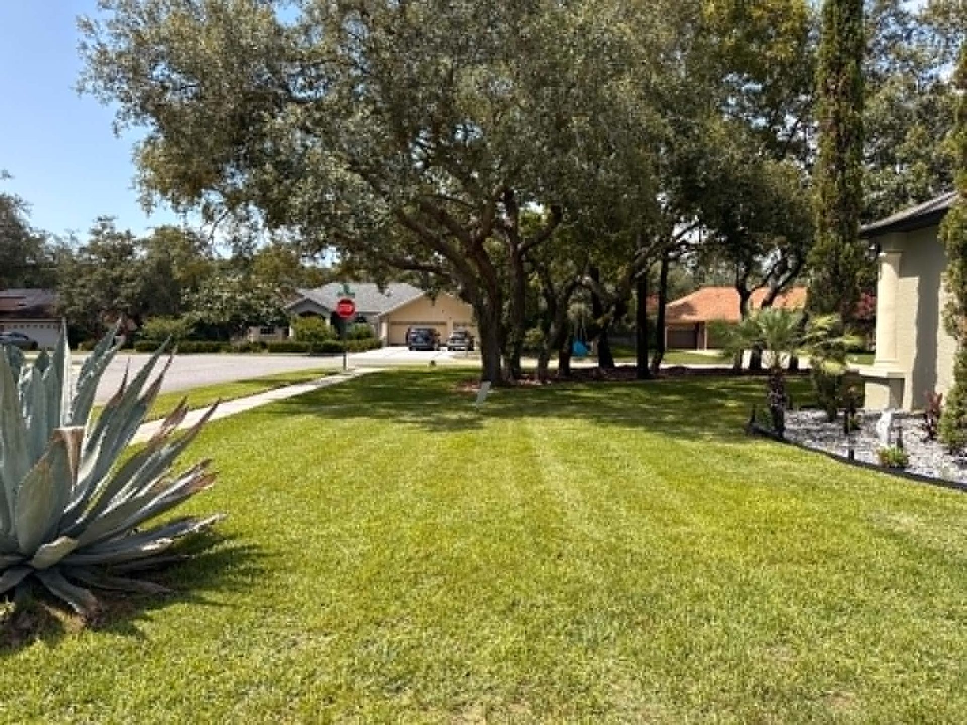 A freshly mowed Spring Hill lawn with clean mower stripes