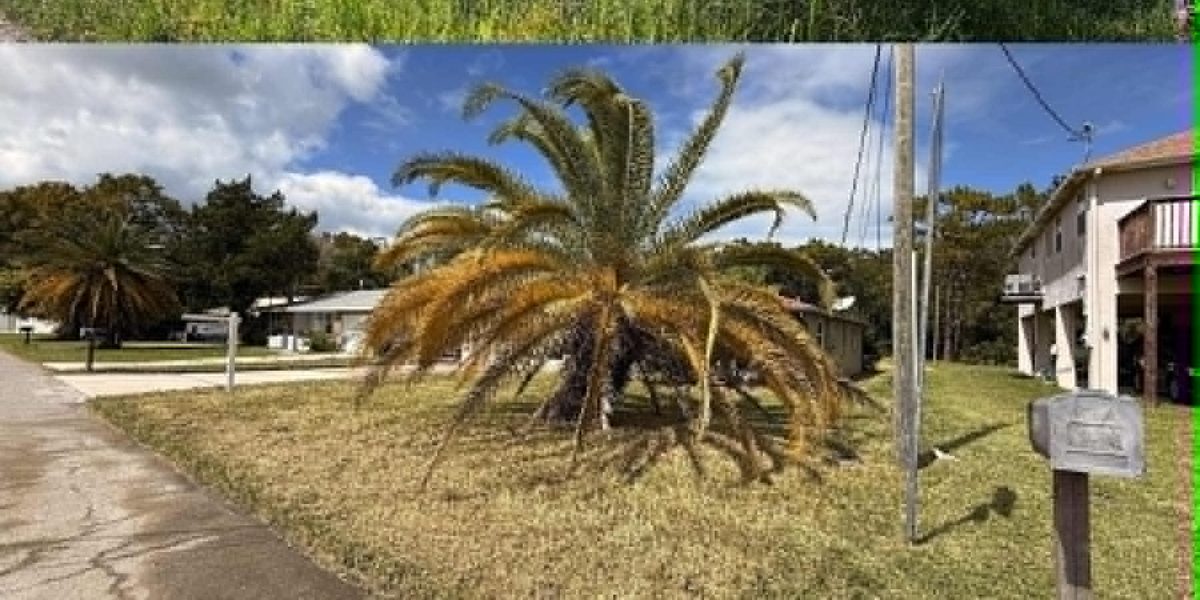 Clean-Outs & Mulch in Spring Hill, FL