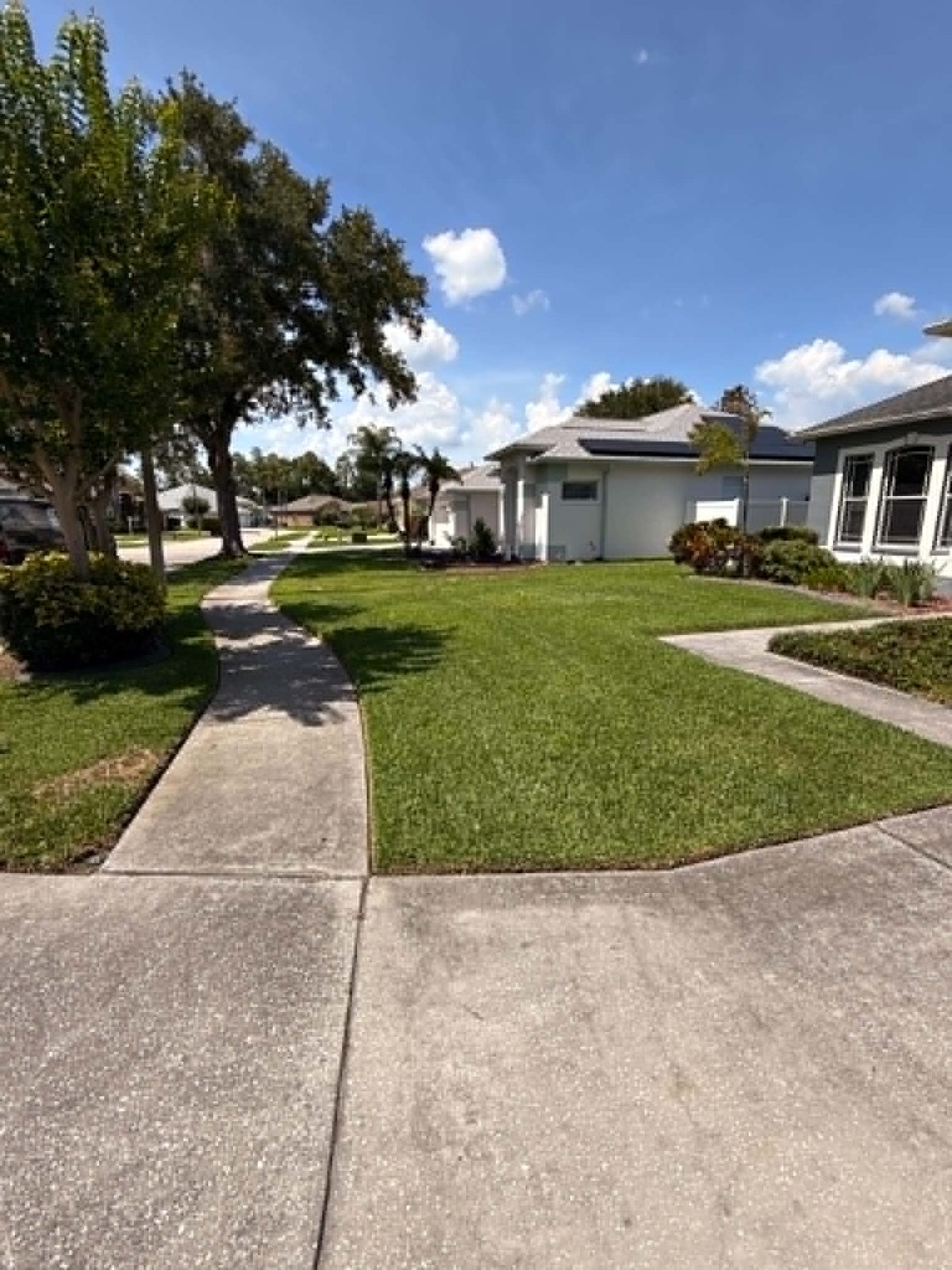 Fresh sod and maintained beds on a Florida home